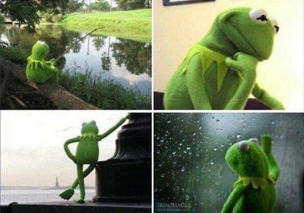 Кермит лягушка ждет