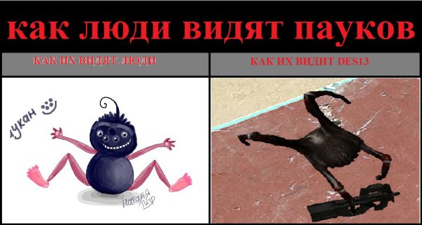 Как видит паук окружающий