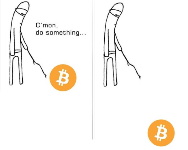 BTC Мем