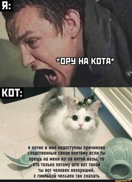 Смешные мемы