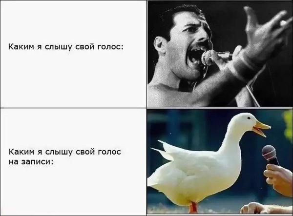 Мем про свой голос