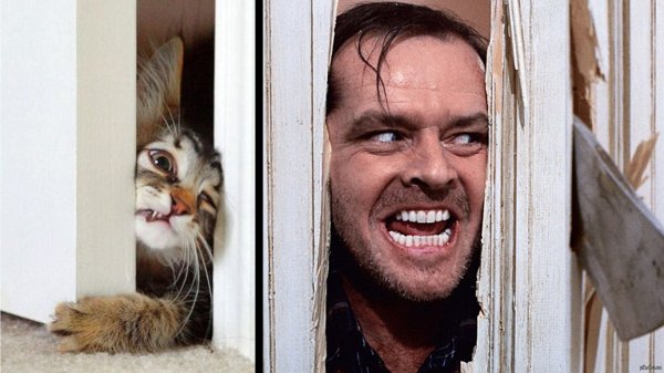 Джек Николсон сичниние