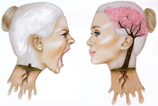 Мозг умного и глупого