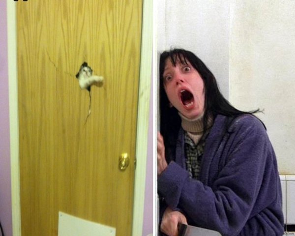 Дверь Мем