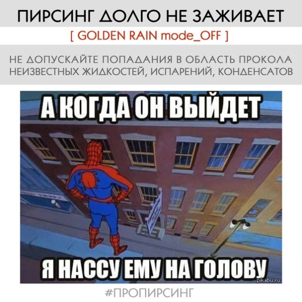 Мемыселовек павук