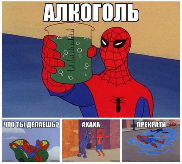 Мемыселовек павук