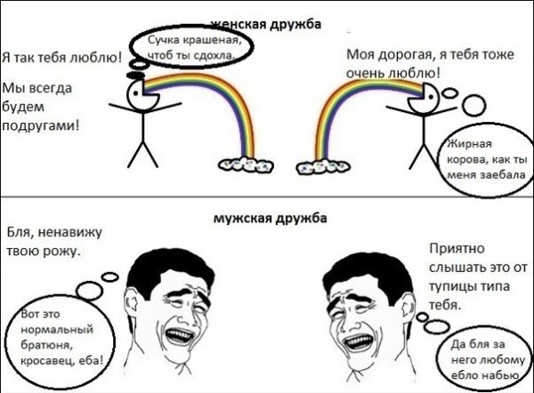 Мемы про дружбу