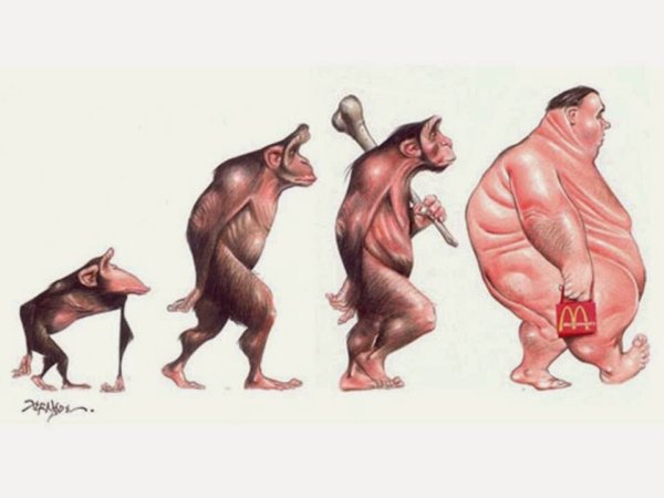 Эволюция человека в свинью