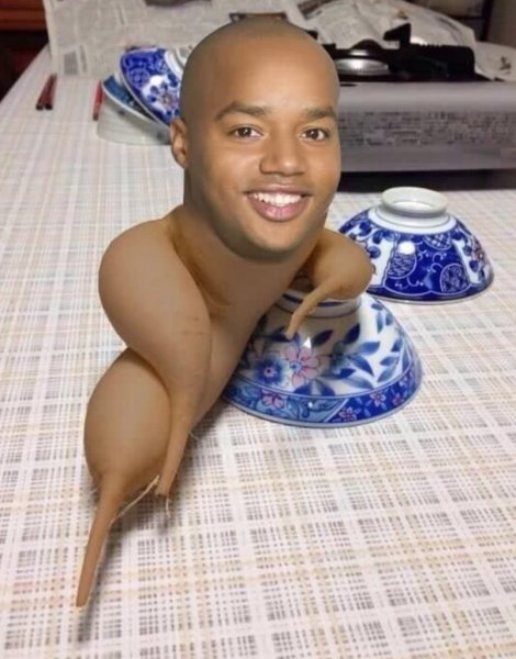 Прикольные картинки с неграми