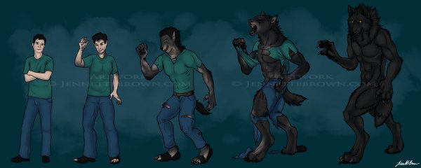 Оборотень перевоплощение