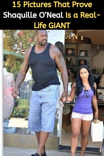 Шакил о Нил рост