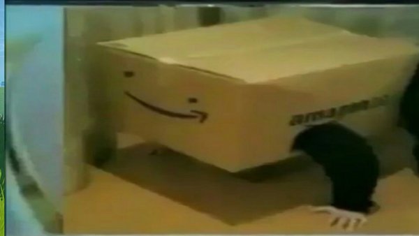 Человек в коробке Amazon