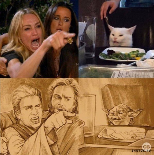 Мес с котом и девушкой