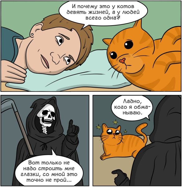 Комиксы с котиками