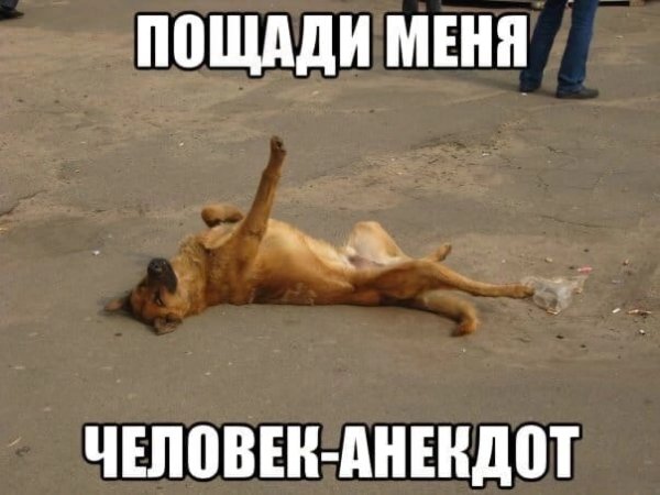 Пощади Мем с котом