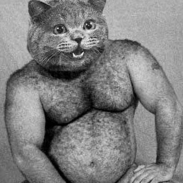 Толстые волосатые мужики