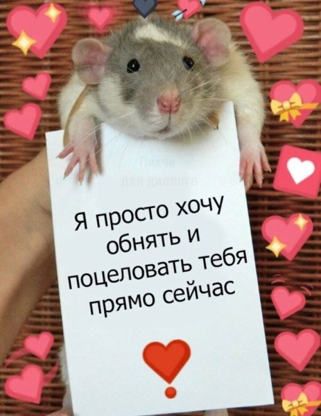 Милые пикчи с текстом