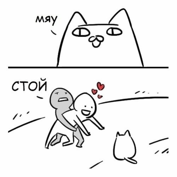 Мяу мяу котики