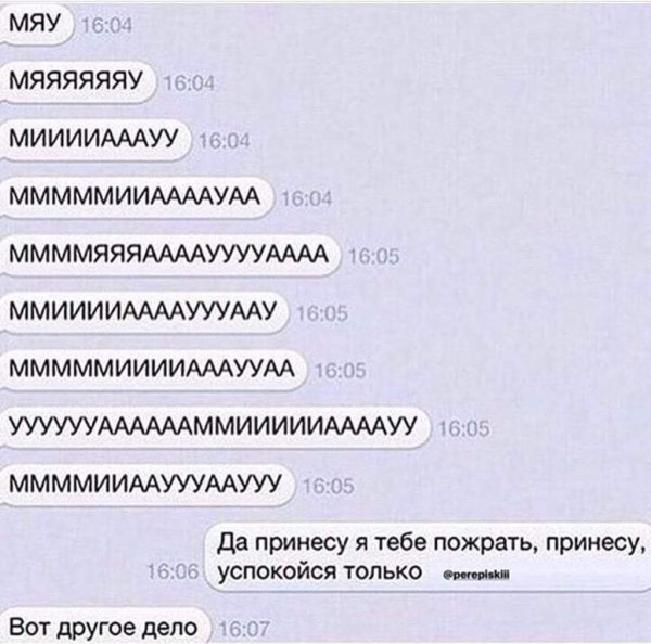 Если человек говорит мяу