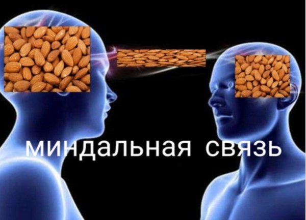 Миндальная связь прикол