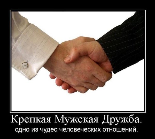 Дружба картинки