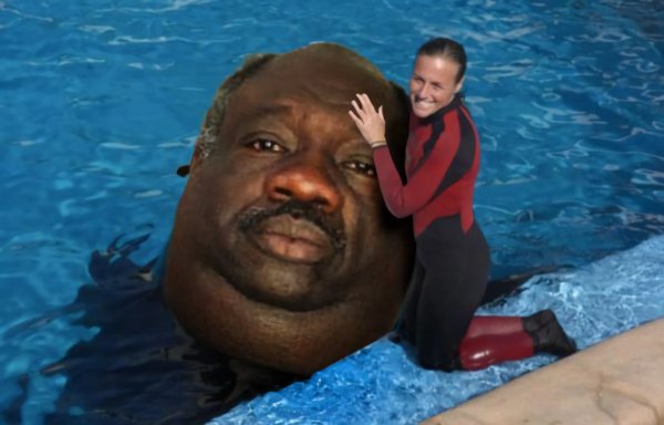 Гранд л Буш