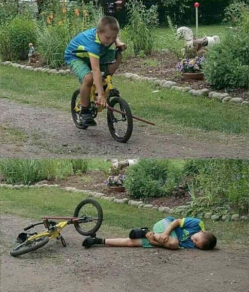 Палка в колесо Мем