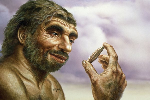 Неандерталец (homo Neanderthalensis)