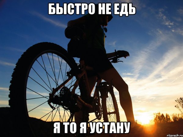 Шутки про велосипедные прогулки