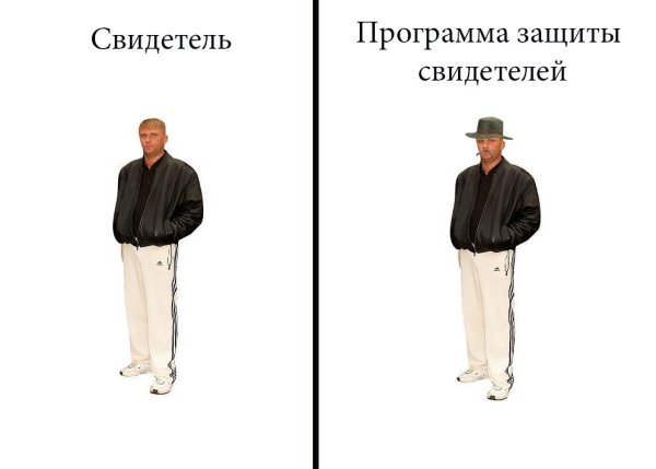 Свидетель из Фрязино Мем