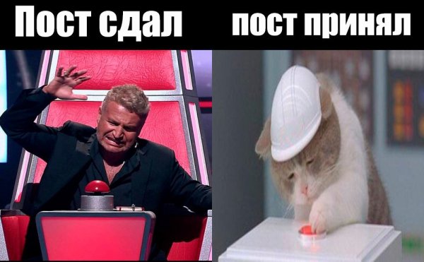 Кот нажимает на кнопку