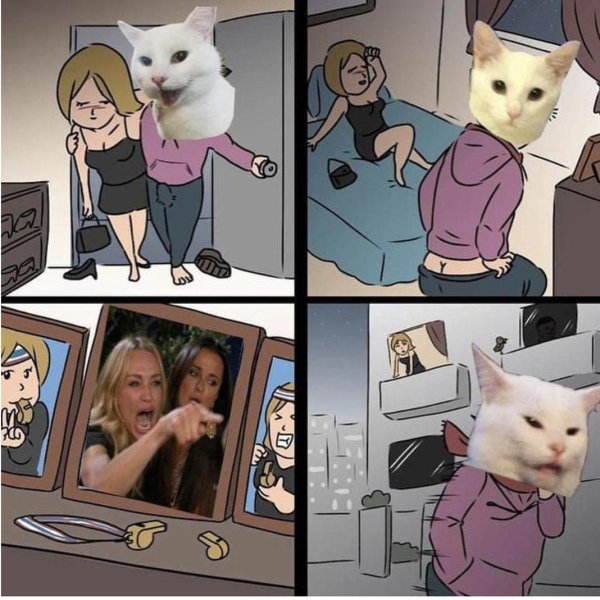 Мемы с котиками
