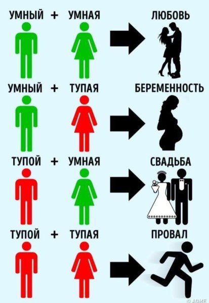 Умный и тупой