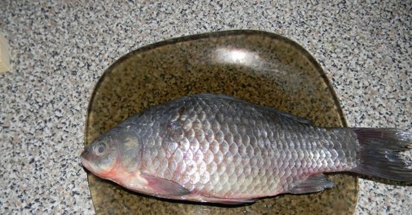 Карась прикол