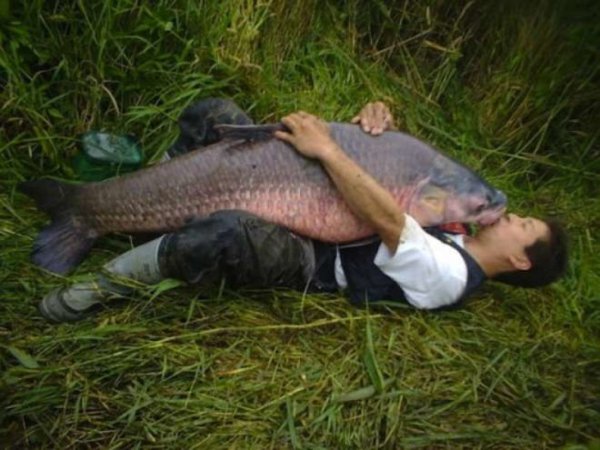 Мужчина на рыбалке