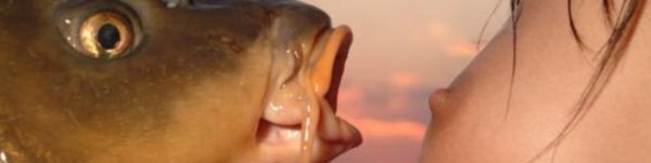 Рыба с соской