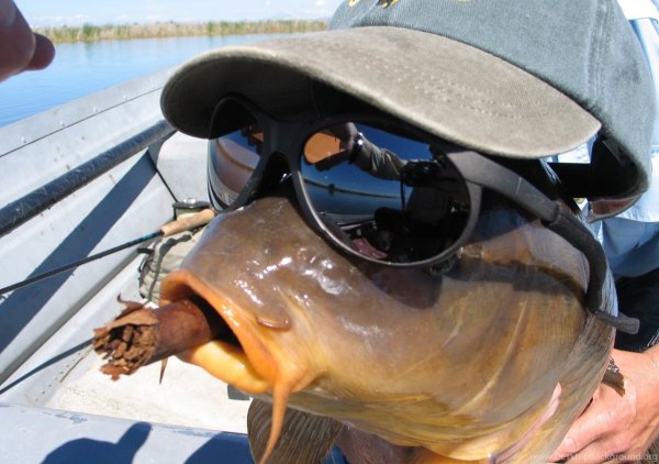 Смешной Карп