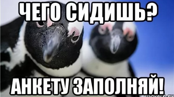 Анкета мемы