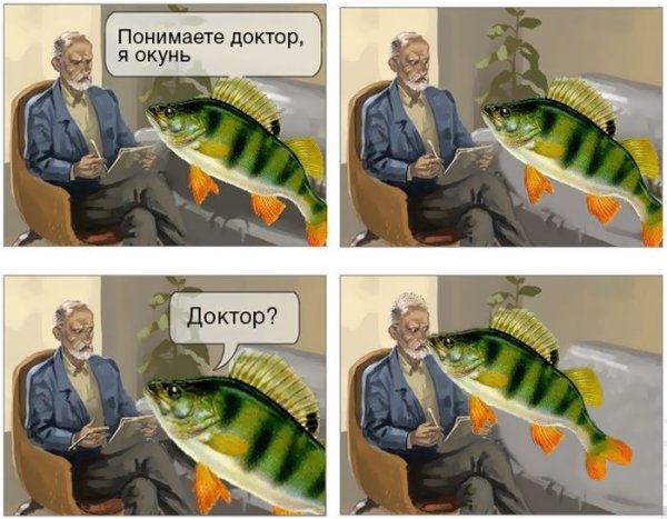 Шутки про окуня