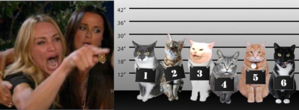 Мем с котом и дв мя девушками