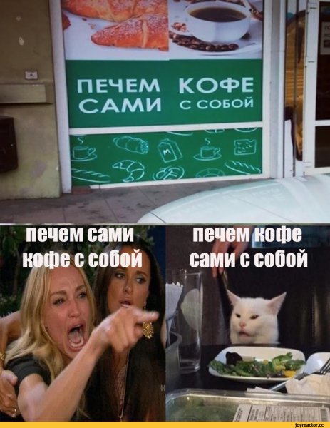 Мемя с котом и девушкой