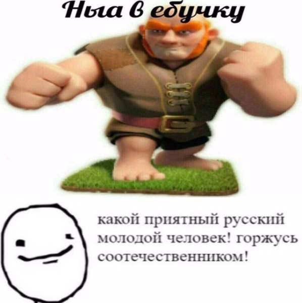 Я панк мне пофиг свинья