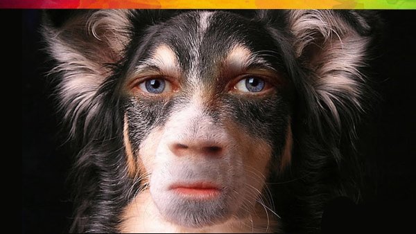 Собака с головой человека