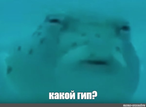 Подозрительная рыба