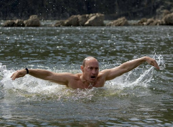 Путин Баттерфляй бассейн