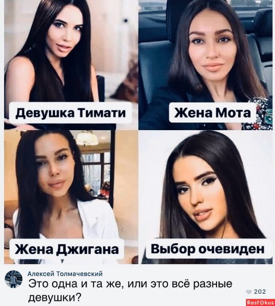 Решетова Самойлова одинаковые