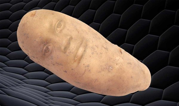 Лохматая картошка