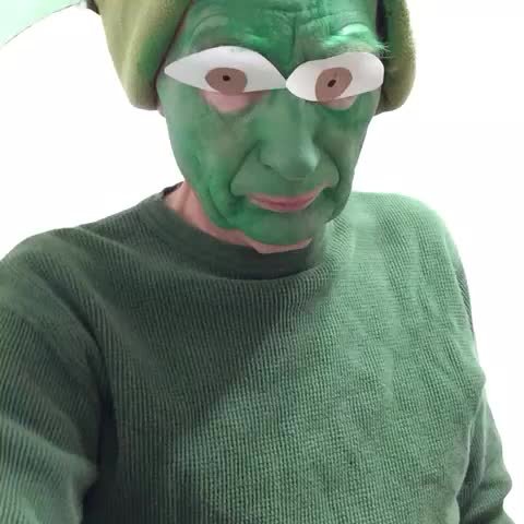 Шрек косплей