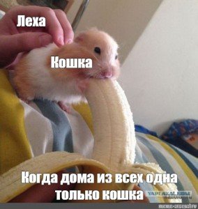 Хопям и банан