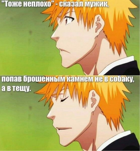 Ичиго Мем